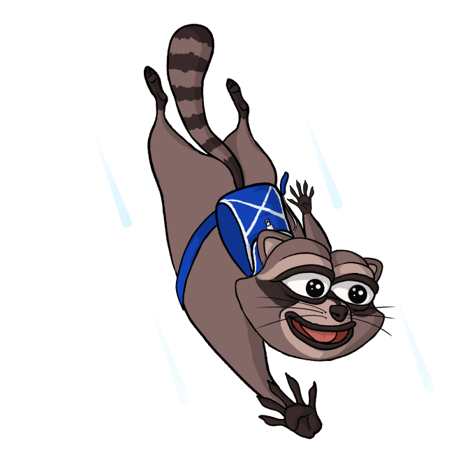 racoon